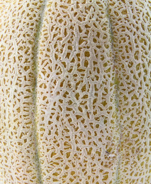 stock image Cantaloupe texture