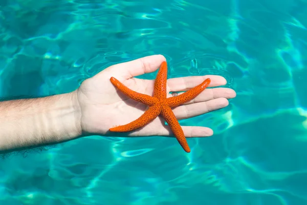 A red starfish with a wonderful blue sea background — Stock Photo, Image