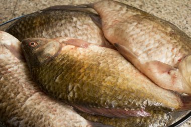 Fish.Carp - balık sadece zevk vardır.