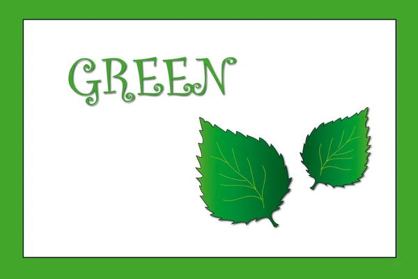 Зеленый цвет — стоковое фото