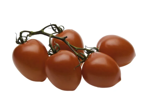 分支番茄 — 图库照片