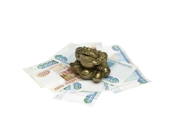 stock image Money frog