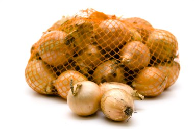 Onions clipart