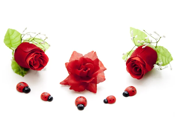 Czerwone róże z biedronki — Zdjęcie stockowe