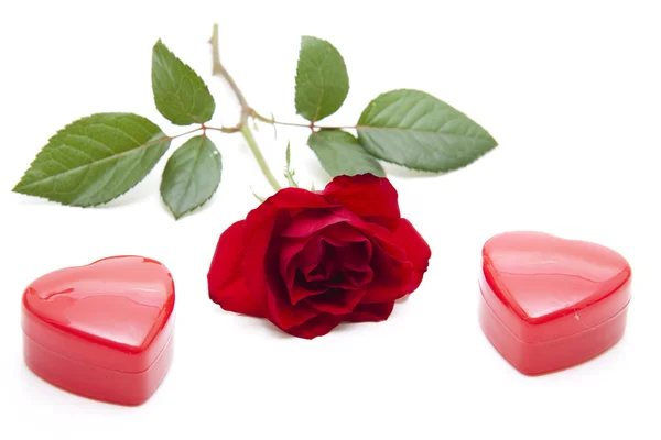 Červená růže se srdcem — Stock fotografie