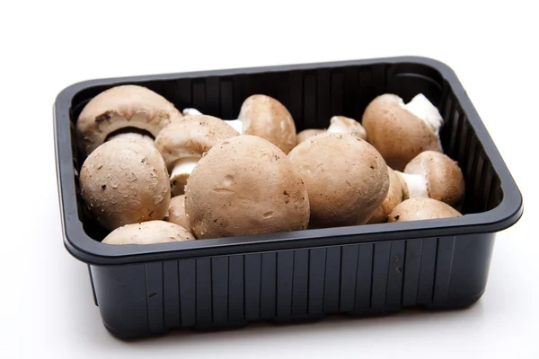 stock image Brown champignons in the packaging