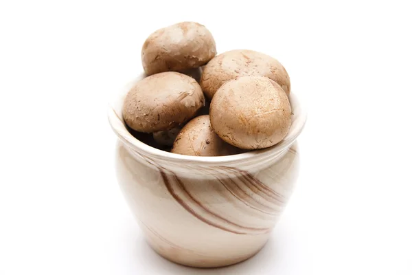 Brown champignons in the pot — Stock Photo, Image