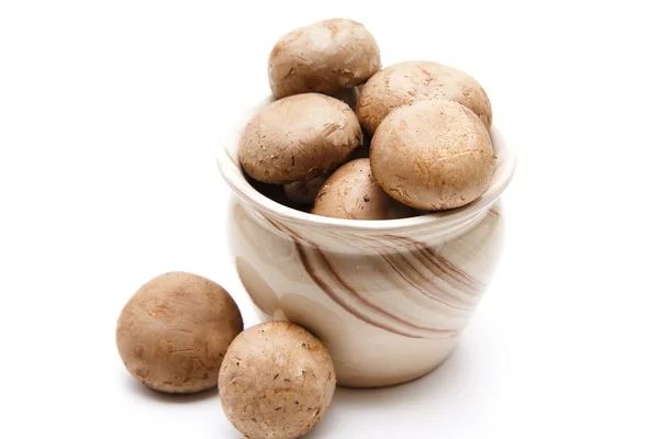 Bruin champignons in de pot — Stockfoto