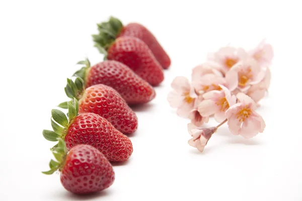 Fresas con flores — Foto de Stock