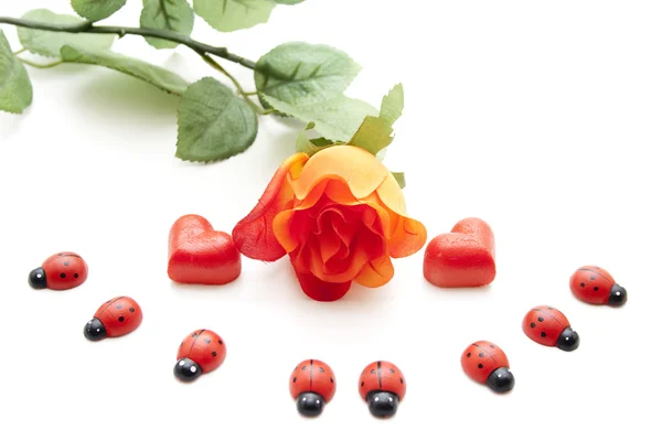 Red rose with ladybug and heart — Stock Photo, Image
