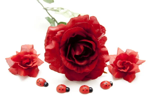 stock image Red rose with wood ladybug