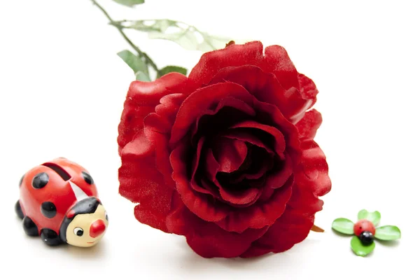 Rosa vermelha com joaninha — Fotografia de Stock