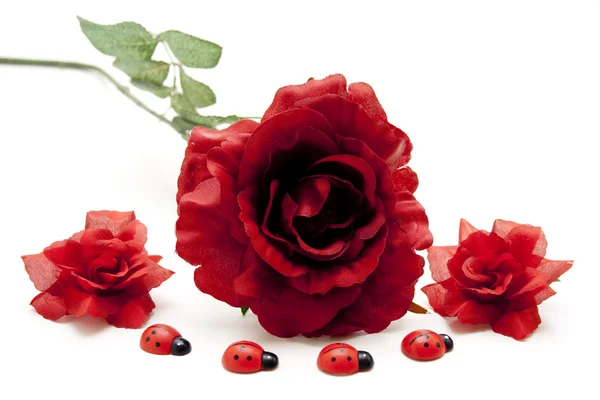木製のてんとう虫と赤いバラ — ストック写真