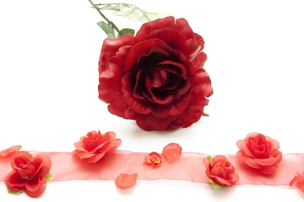 Rudá růže se smyčkou — Stock fotografie