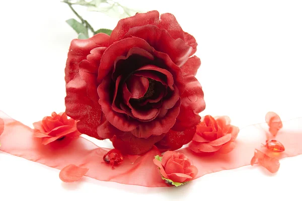 Rote Rose mit Öse — Stockfoto