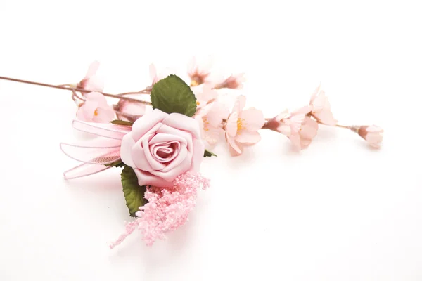 Rosa Ros med blommande gren — Stockfoto