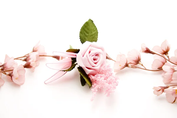 Rosa Rose mit blühendem Zweig — Stockfoto