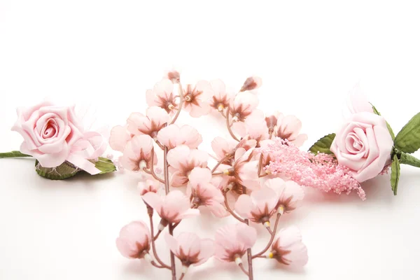 Rosa rosa con rama floreciente —  Fotos de Stock