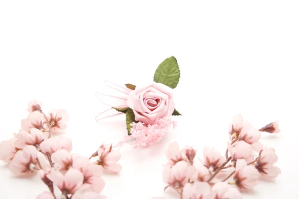 Róża różowy kwitnienia oddział — Zdjęcie stockowe