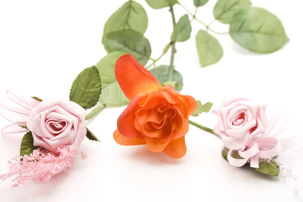 红色和粉红色的玫瑰 — 图库照片