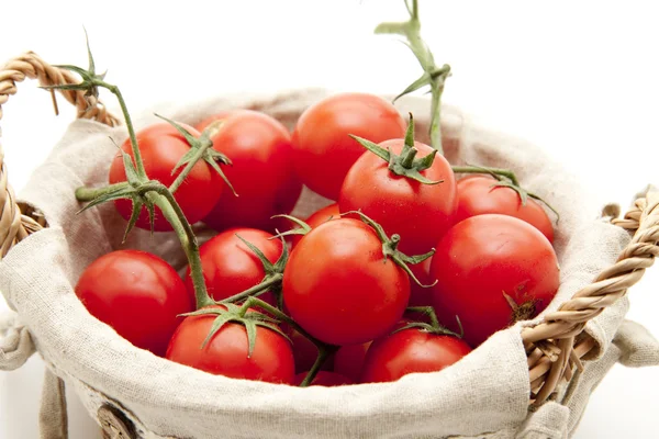 Krzew pomidory w koszyku — Zdjęcie stockowe