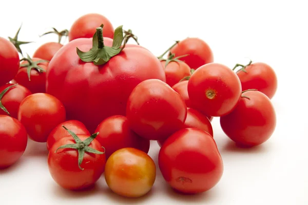 Tomates arbustivos —  Fotos de Stock