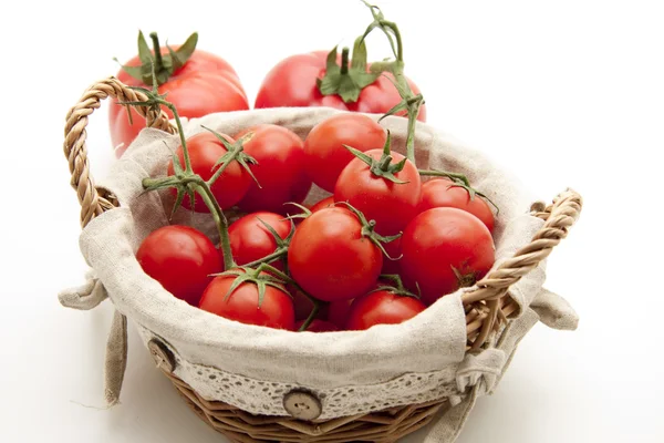 Tomates de arbusto na cesta — Fotografia de Stock