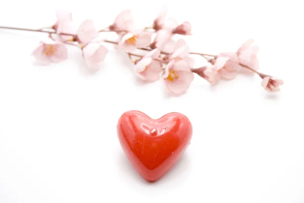 Liebes Herz mit Blumenschmuck — Stockfoto