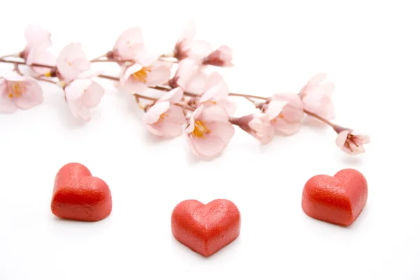 Kära hjärta med blomdekor — Stockfoto