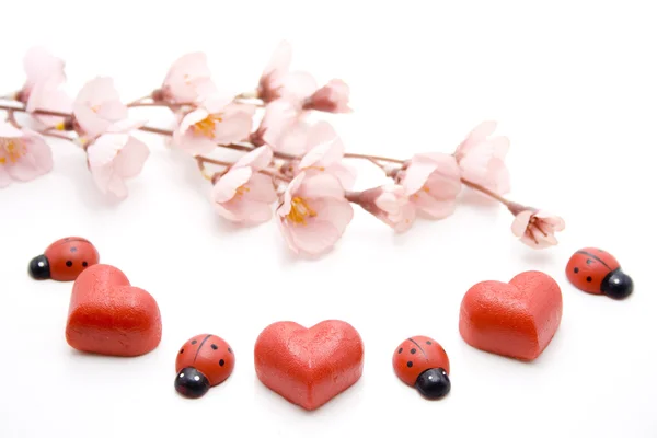 Dear heart with ladybug — Stock Photo, Image