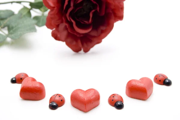 Dear heart with ladybug — Stock Photo, Image