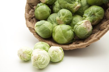 Brussels sprouts clipart