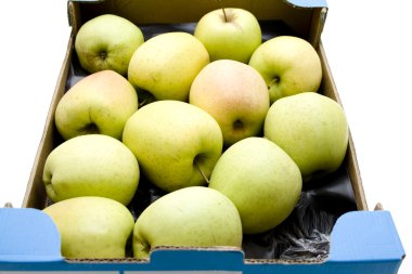 Green apples in the cardboard