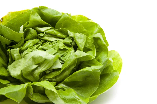 Verse groene groenten — Stockfoto