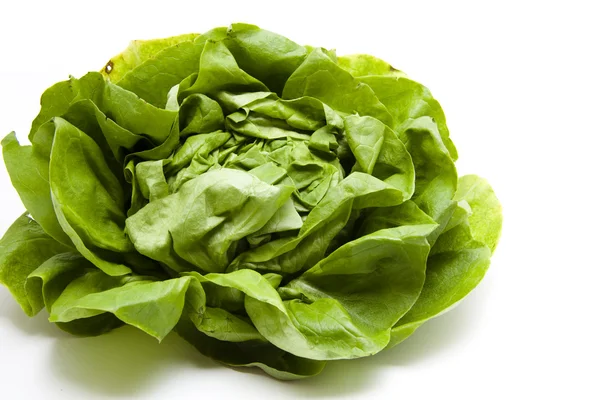 Fresh leafy vegetables — Stock Photo, Image