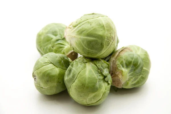 Brussels sprouts freshly — Stock Photo, Image