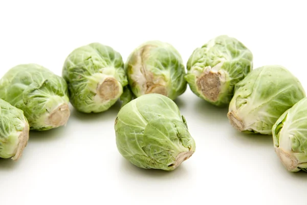 Brussels sprouts freshly harvested — Stock Photo, Image