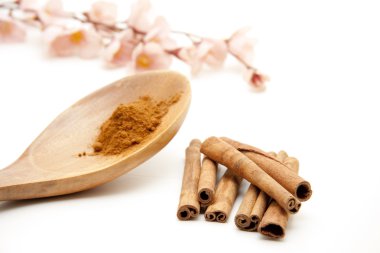 Cinnamon sticks and powders clipart