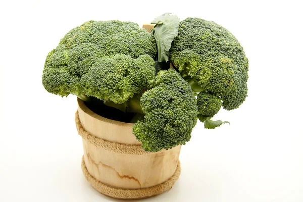 Brokolice ve vaně — Stock fotografie