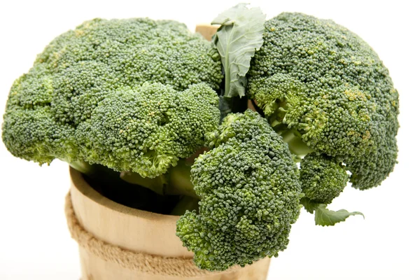 Broccoli in the tub — Stock Photo, Image