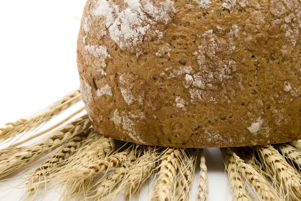 Pan sobre trigo — Foto de Stock