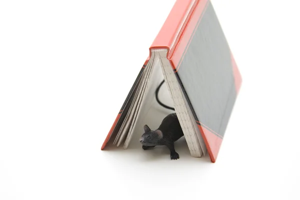 Addresses book with plastic mouse — Stock Photo, Image