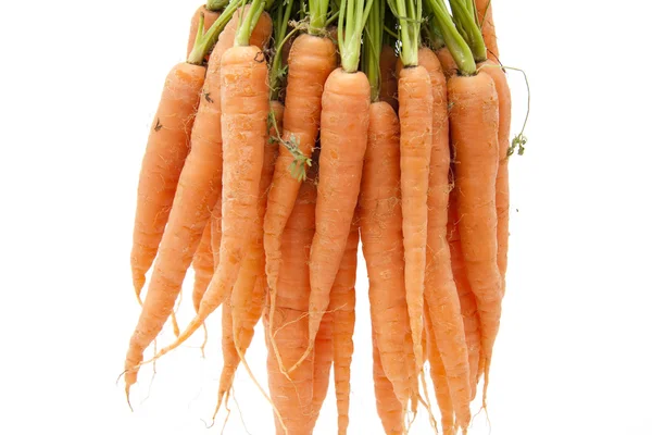 Karotten roh hängend — Stockfoto