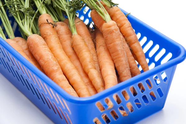 Zanahorias en la cesta de plástico — Foto de Stock