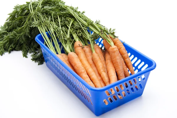 Zanahorias en la cesta de plástico — Foto de Stock