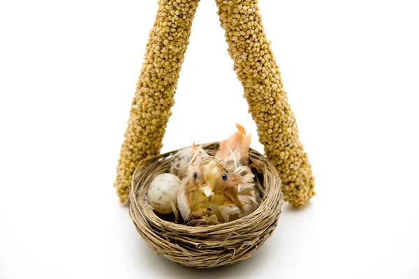 Millet with bird nest — Stock Photo, Image