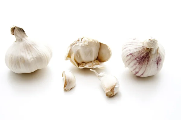 stock image Garlic