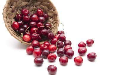 Cherries clipart