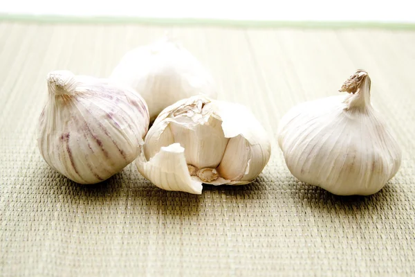 stock image Garlic