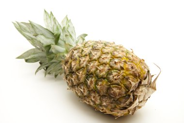 taze ananas